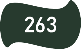 263 Зелёная ель