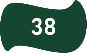 38