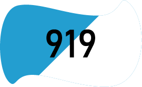 919 Бирюзовый/Белый