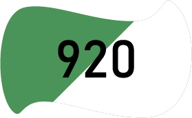 920 Светло-зелёный/Белый