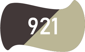 921 Шоколадный/Бежевый