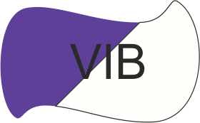 Viola
