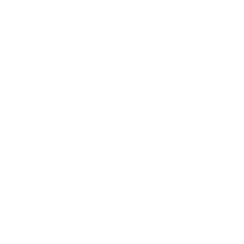logo footer